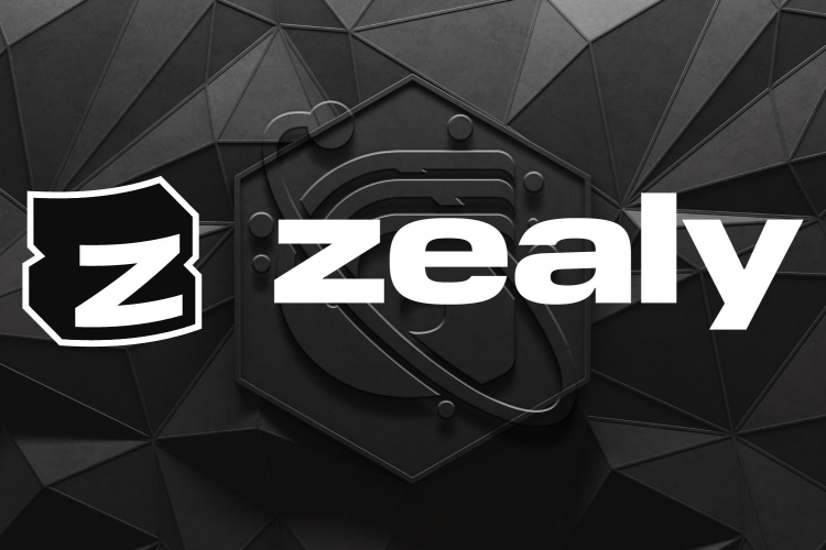 🚀 ZEALY Partnership 🚀